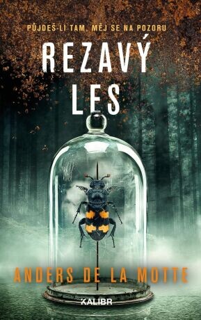 Rezavý les - Anders Motte - e-kniha