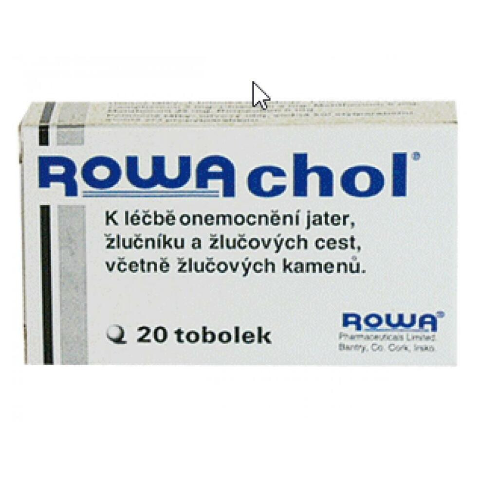 ROWACHOL CPS 20