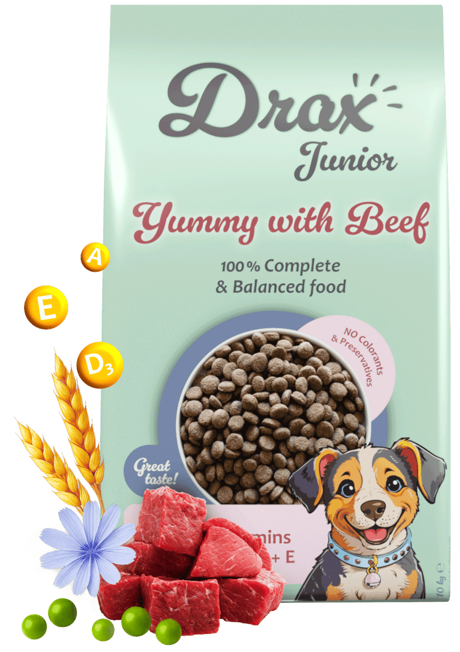 Krmivo Drax Junior Dog s hovězím 10kg