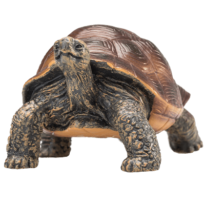 Želva obrovská figurka