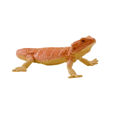 Agama vousatá figurka