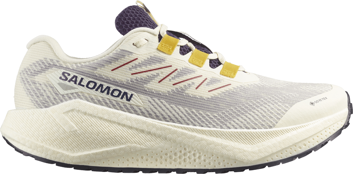 Běžecké boty Salomon AERO BLAZE 3 GRVL GTX