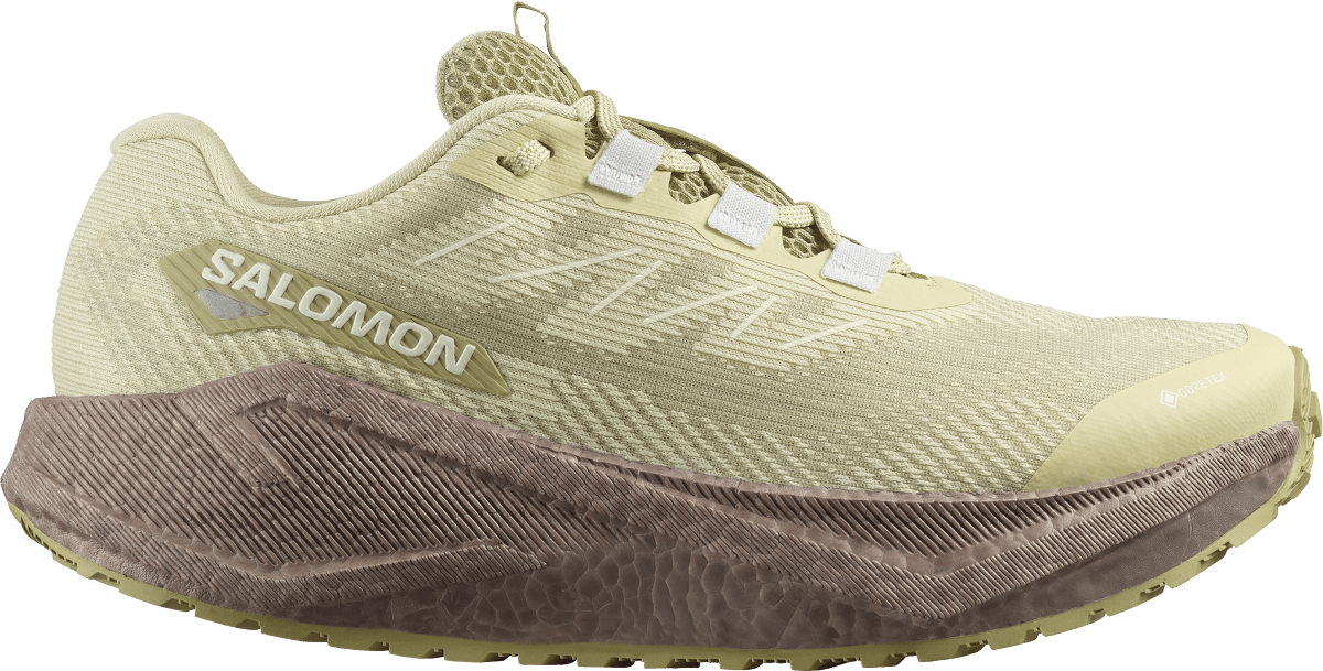 Běžecké boty Salomon AERO BLAZE 3 GRVL GTX W