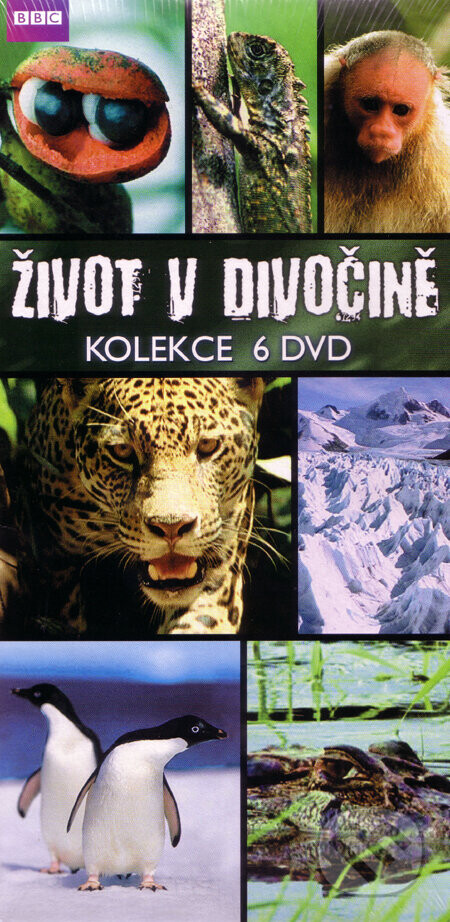 Kolekcia: BBC edícia: Život v divočine - 6 DVD DVD