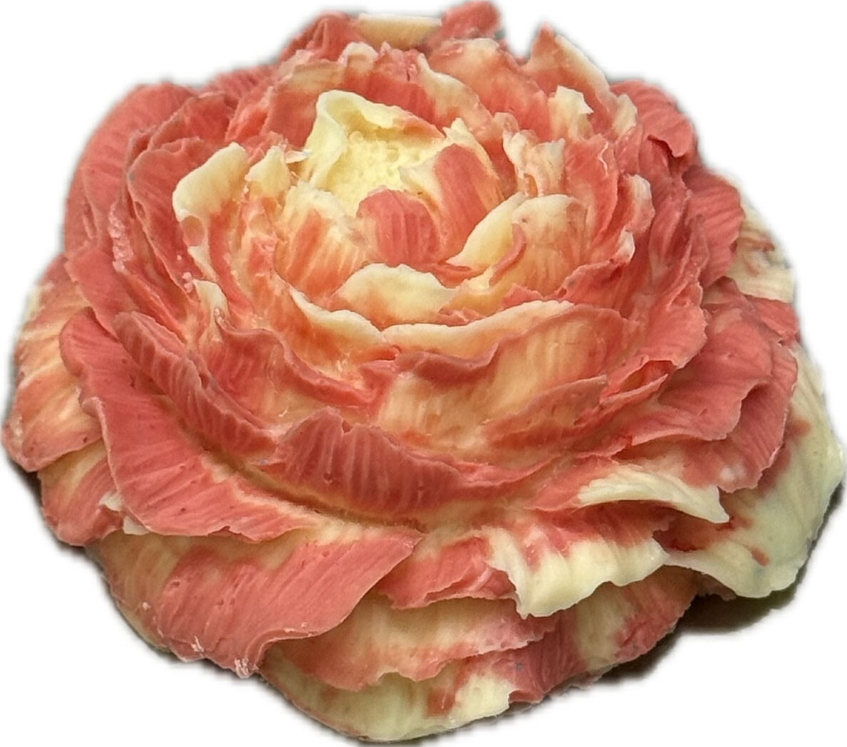 Chocolenka Čokoládový Karafiát - Červeno bílá