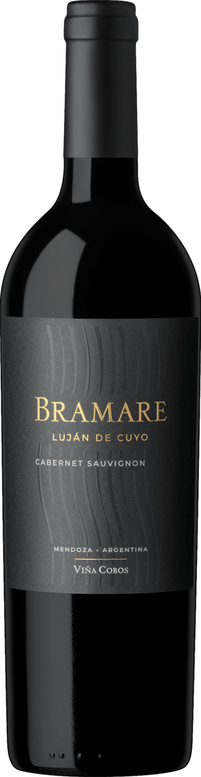 Vina Cobos Bramare Lujan de Cuyo Cabernet Sauvignon 2019