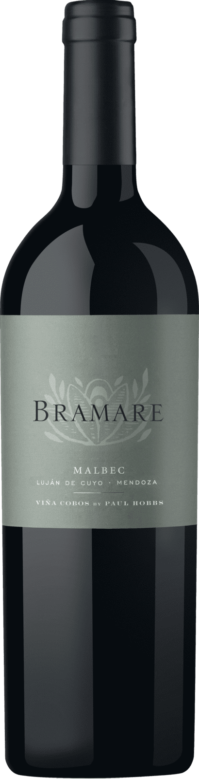 Vina Cobos Bramare Lujan de Cuyo Malbec 2021