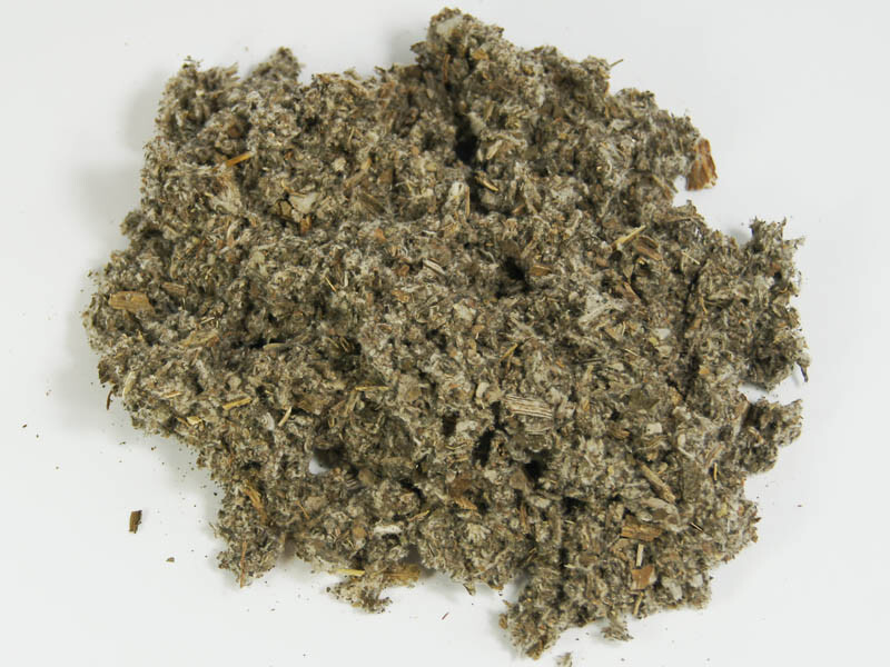 Šalvěj Lékařská 5 Kg Z Podlasia Polsko Loď