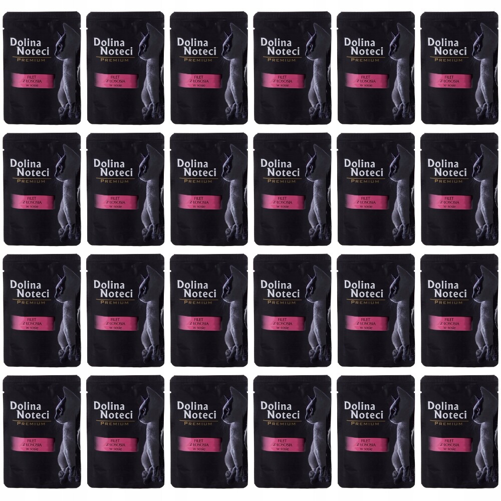 Dolina Noteci Premium mokré krmivo pro kočky Filé z lososa kapsička 24x85g