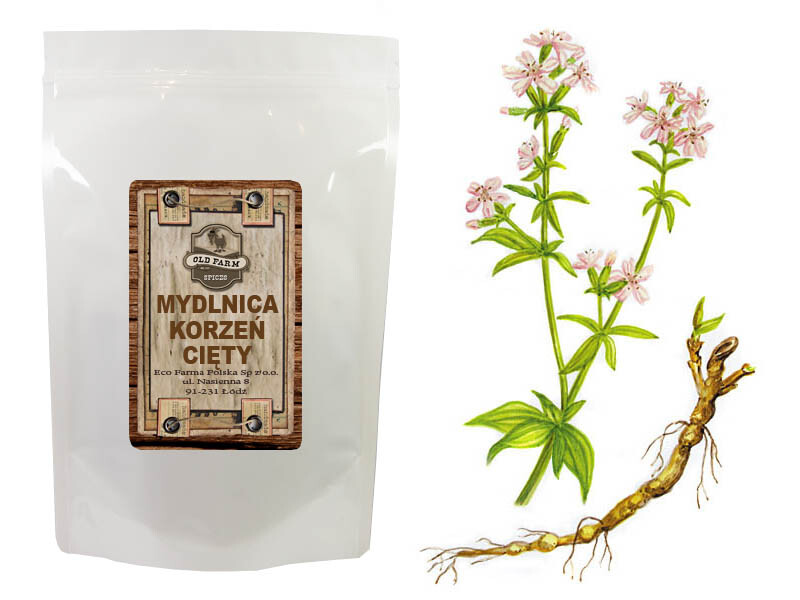 Kořen Mydlice 500 G Originální Mydlice Loď 0,5