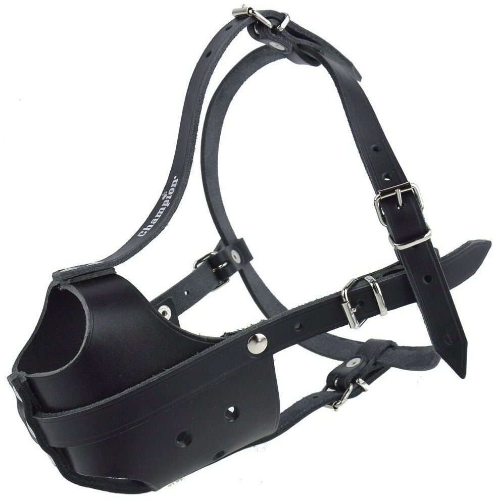 Kožený náhubek pro psa Champion zabudovaný Amstaff A1 30/6 cm