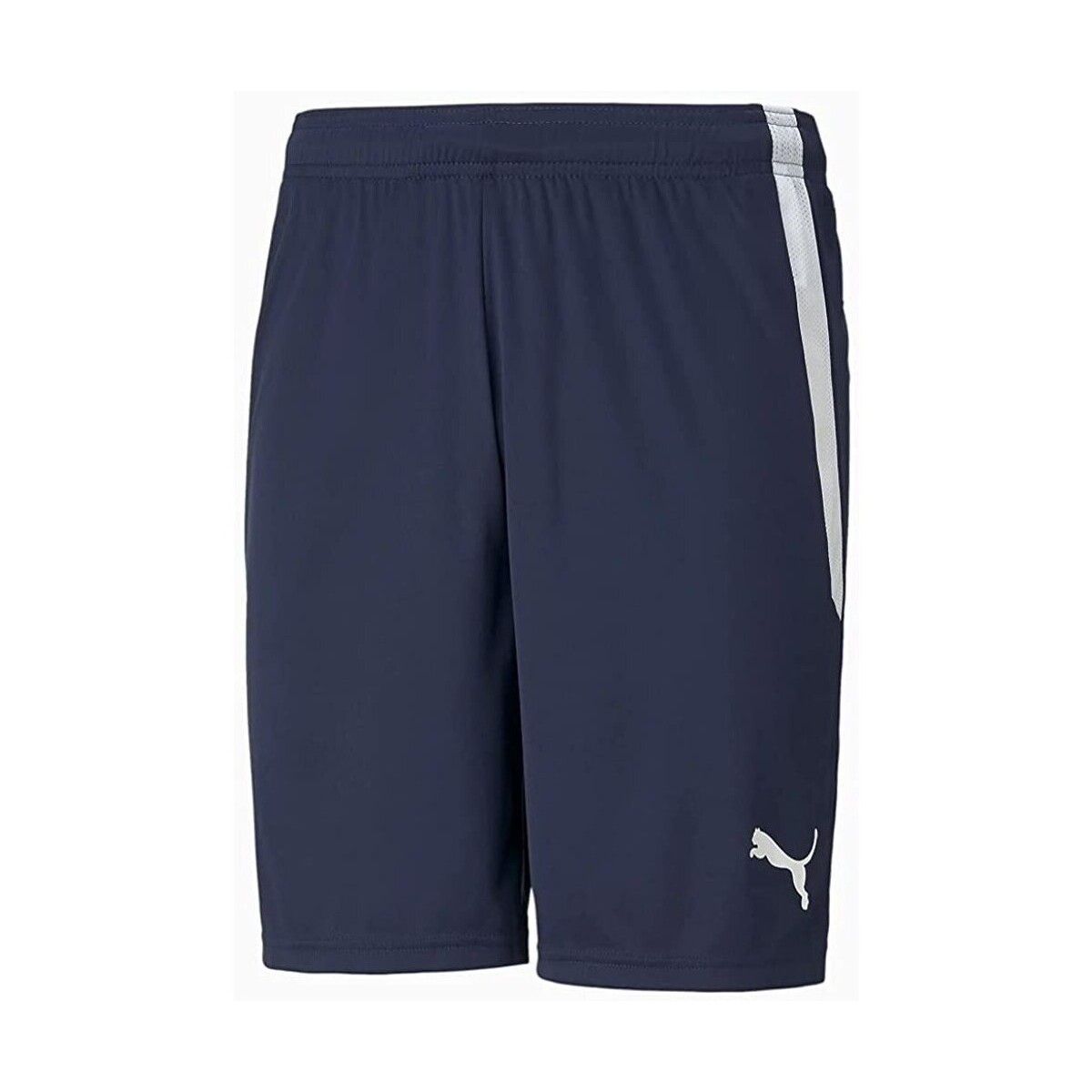 Puma  Spodenki Męskie Teamliga Granatowe  Tmavě modrá