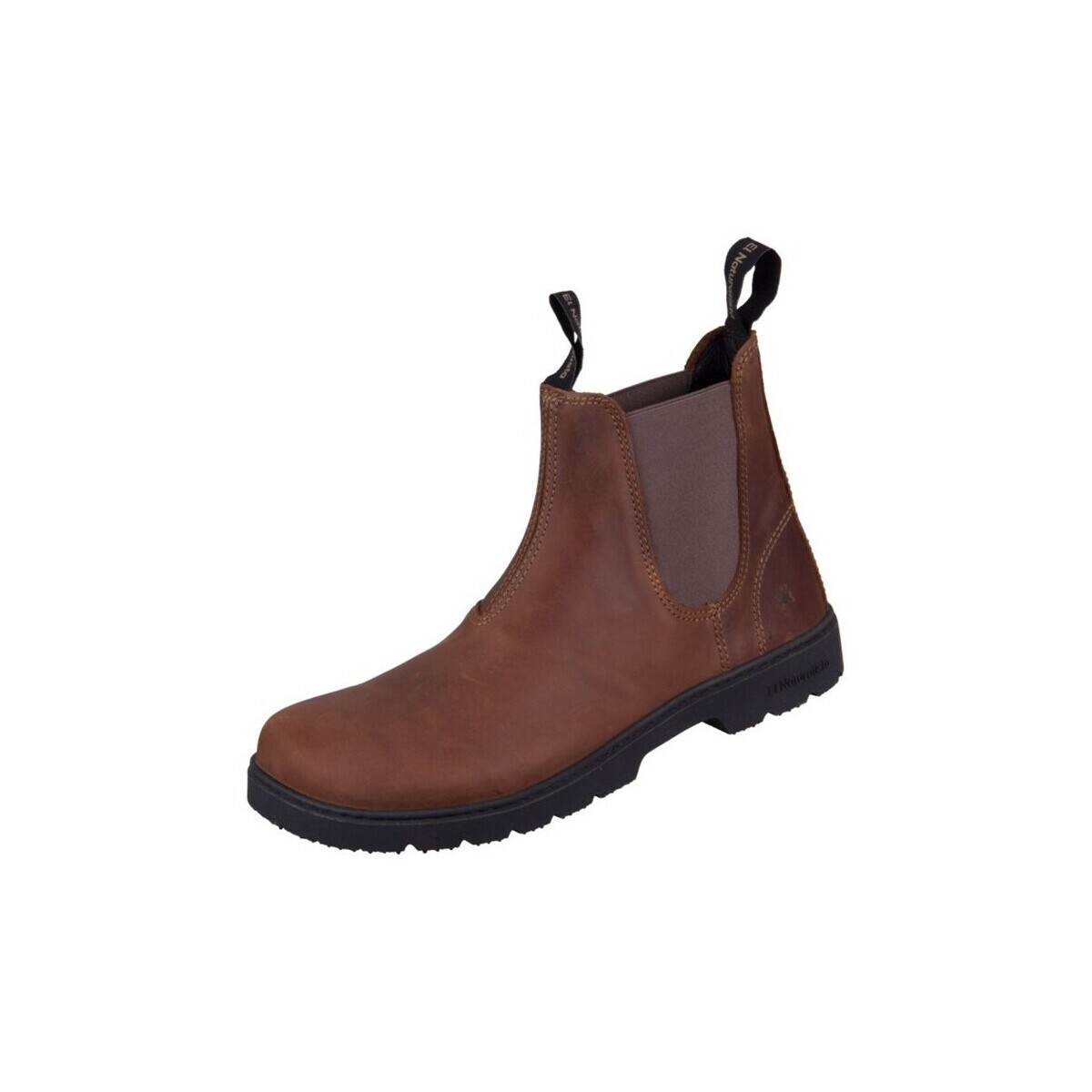 El Naturalista  Nomada  Hnědá