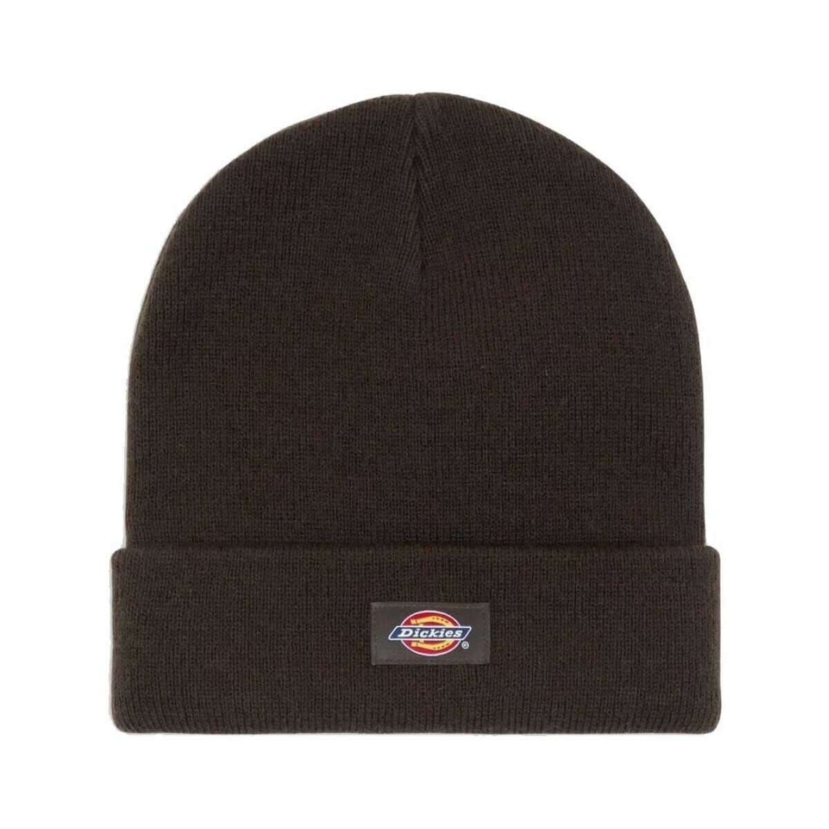 Dickies  GIBSLAND BEANIE  Hnědá