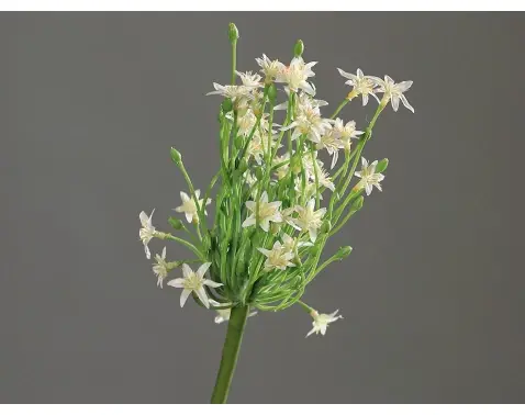 Umělá květina Česnek 70 cm, krémový