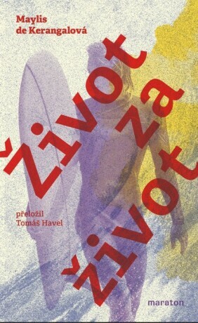Život za život - Maylis de Kerangalová - e-kniha