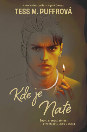 Kde je Nate - Tess M. Puffrová