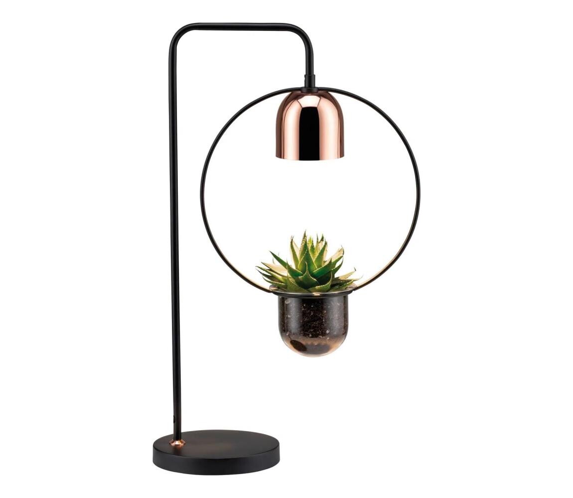 Paulmann Paulmann 79746 - 1xGU10/20W Stolní lampa FANJA 230V kouřová