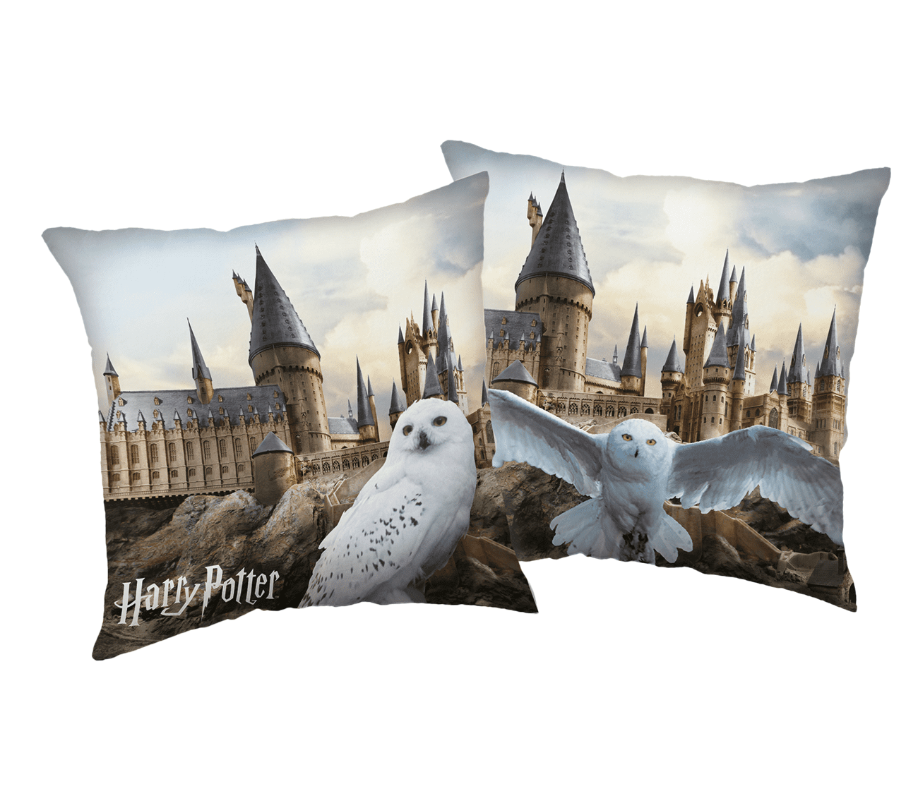 Jerry Fabrics Dekorační polštářek 40x40 cm - Harry Potter 