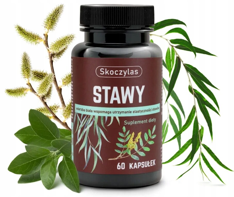 Stawy kadidlovník, vrba, ashwagandha, borovice – Skoczylas 60 kapslí