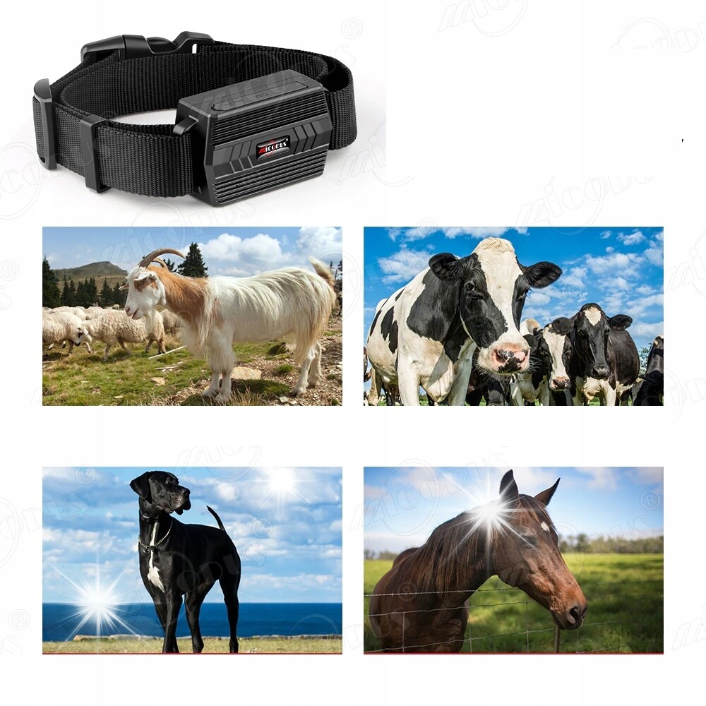 Obojek Gps Lokalizátor TK935 Pro Zvířata Psa Pes Aplikace Bez Poplatku Za Předplatné
