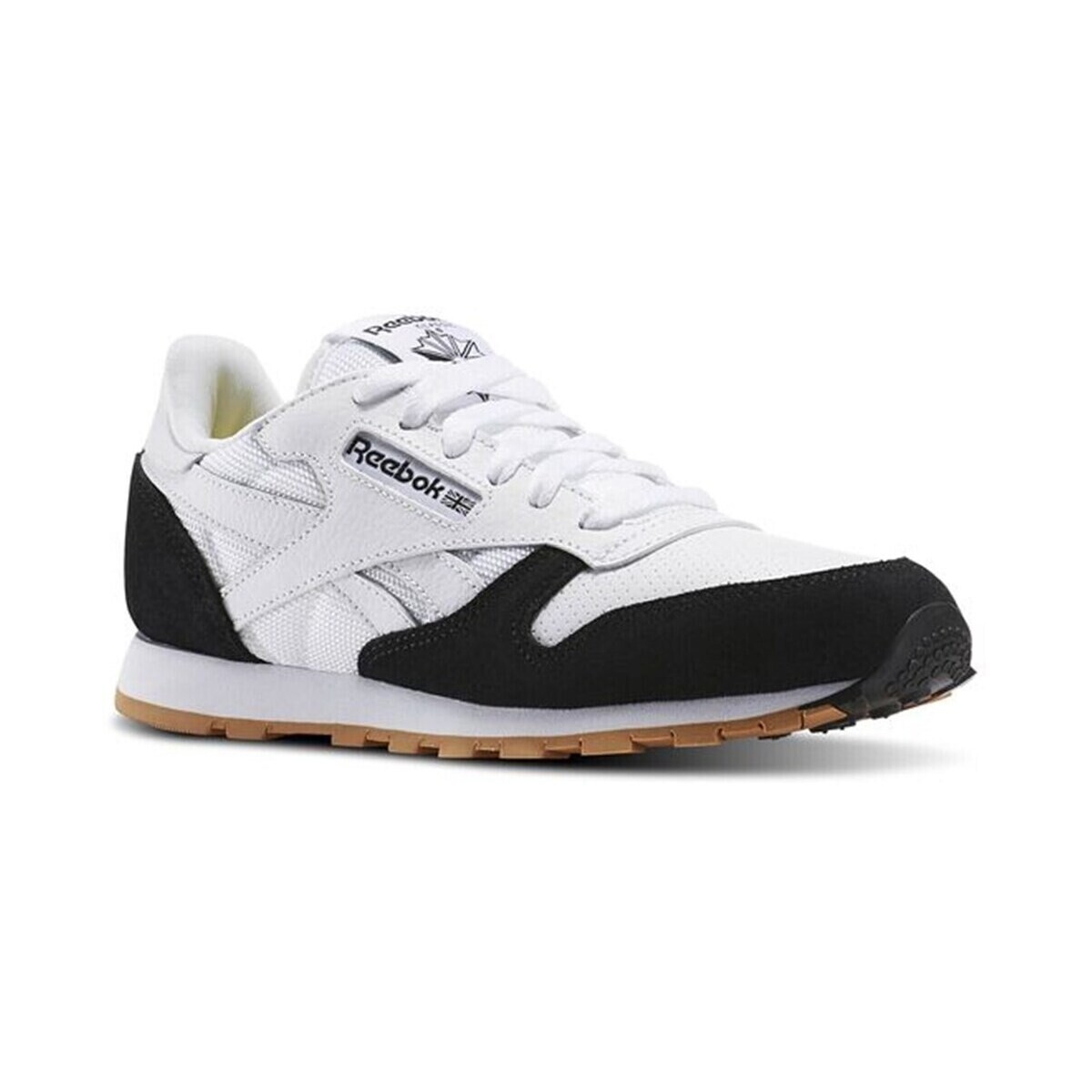 Reebok Sport  CL Leather  ruznobarevne