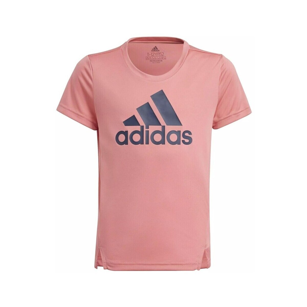 adidas  Designed TO Move  Béžová