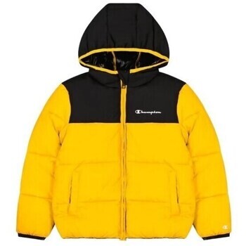 Champion  Legacy Hooded  ruznobarevne