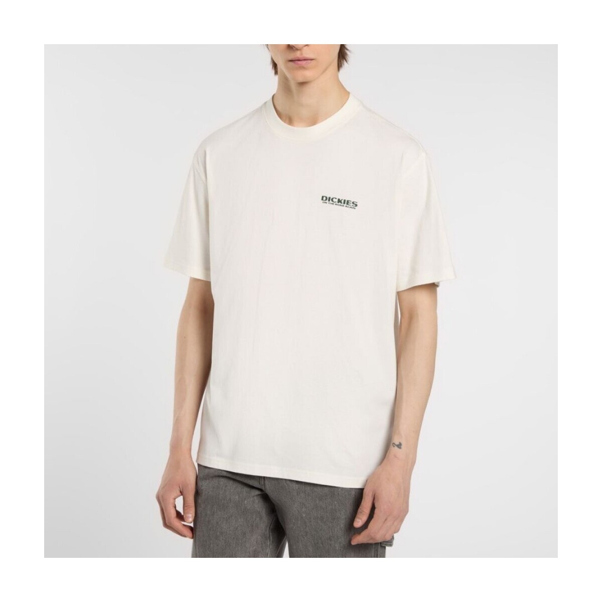 Dickies  BURNS TEE  Bílá