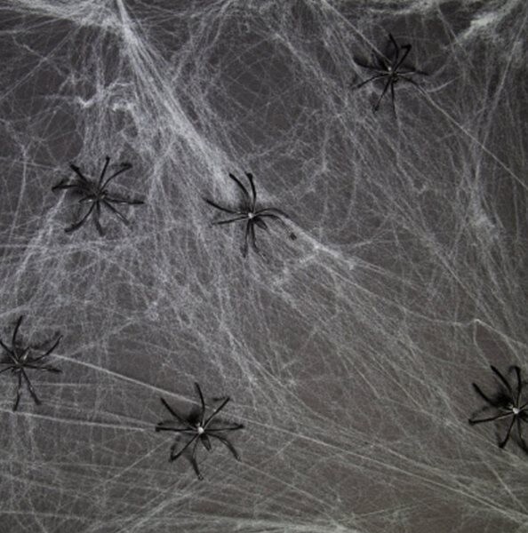 Dekorační pavučina se 6 pavouky 100 g