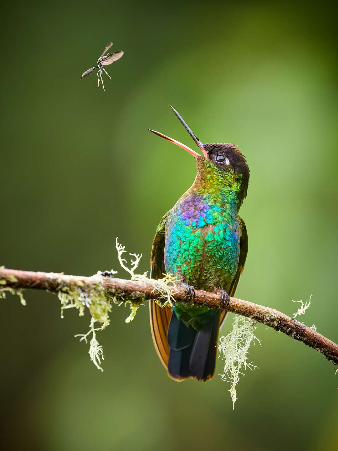 Dobrodružství v hledáčku: o cestování a fotografii s Petrem Bambouskem a Liborem Vaicenbacherem