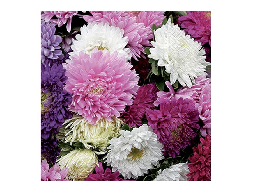 MFP 2011164 Ubrousek P 33x33 celorok SPM712182