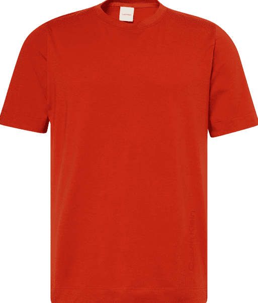 Calvin Klein SS TEE S