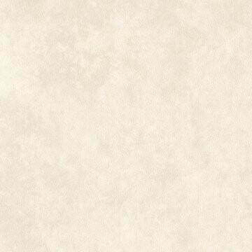 Amtico First Dew Stone SF3S4437