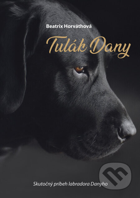 Tulák Dany (nahovorené neurálnym hlasom) - Beatrix Horváthová