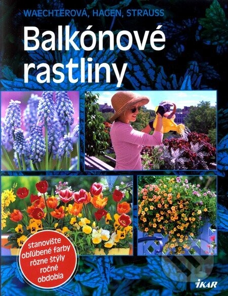 Balkónové rastliny - Ikar