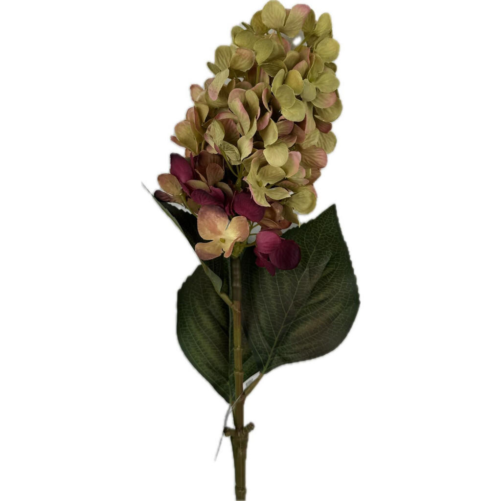 XXXL HORTENZIE 72 cm