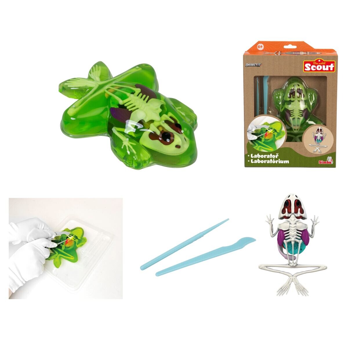 Simba Objevuj Pitva Žáby