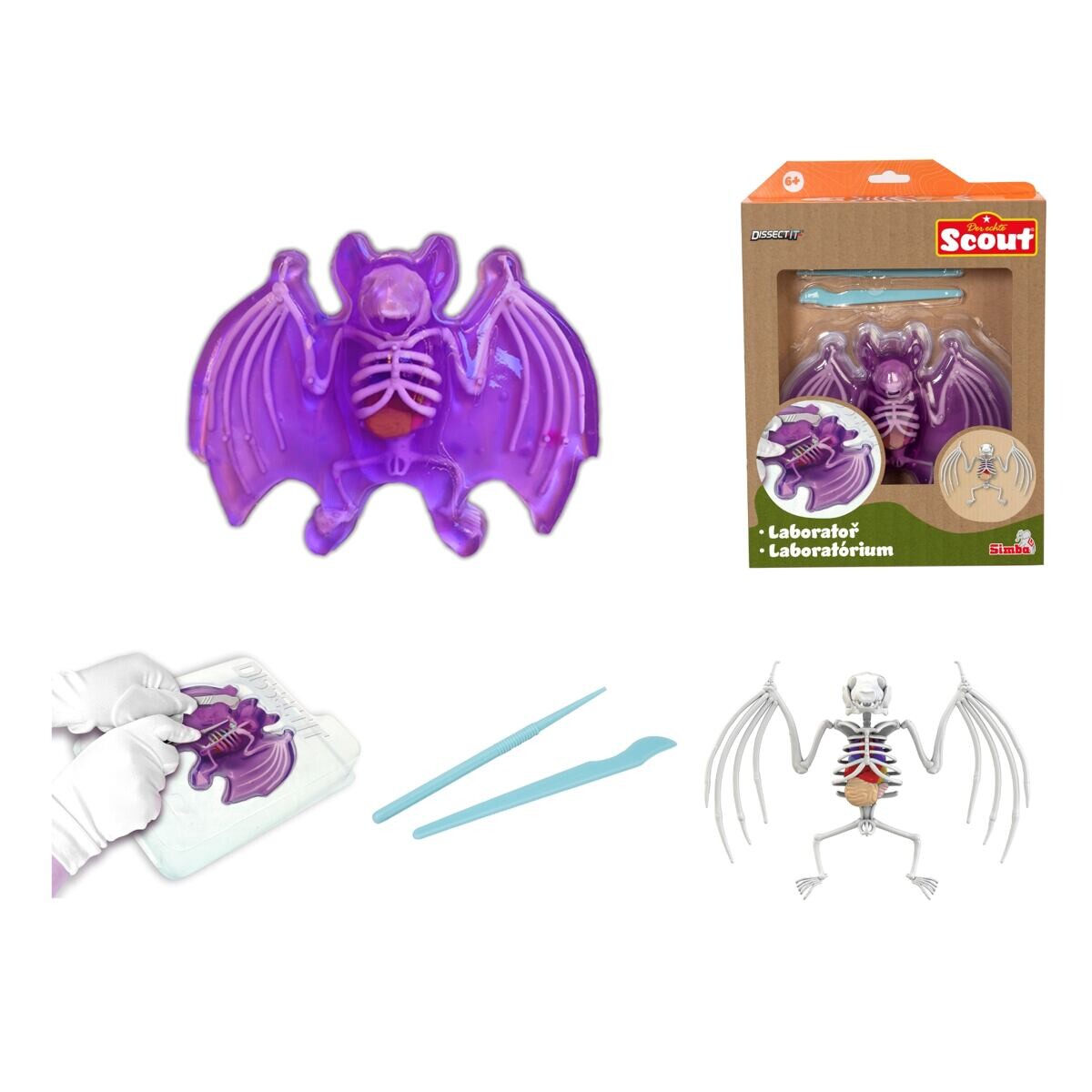 Simba Objevuj Pitva Netopýra