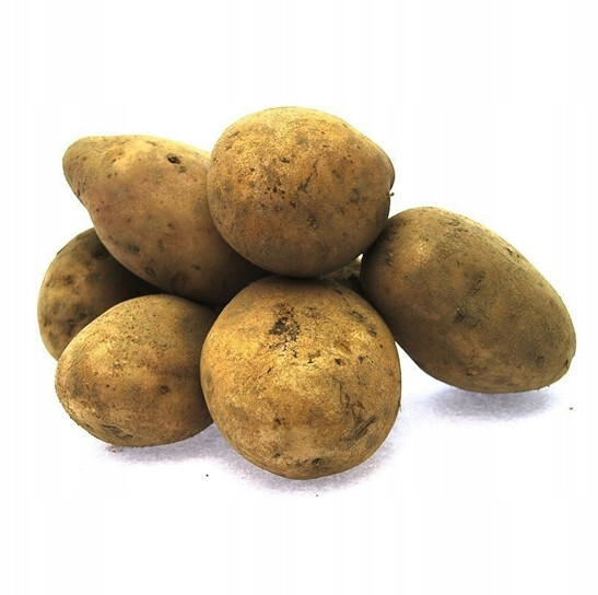 Zemědělské plodiny Polské od zemědělce 10 kg