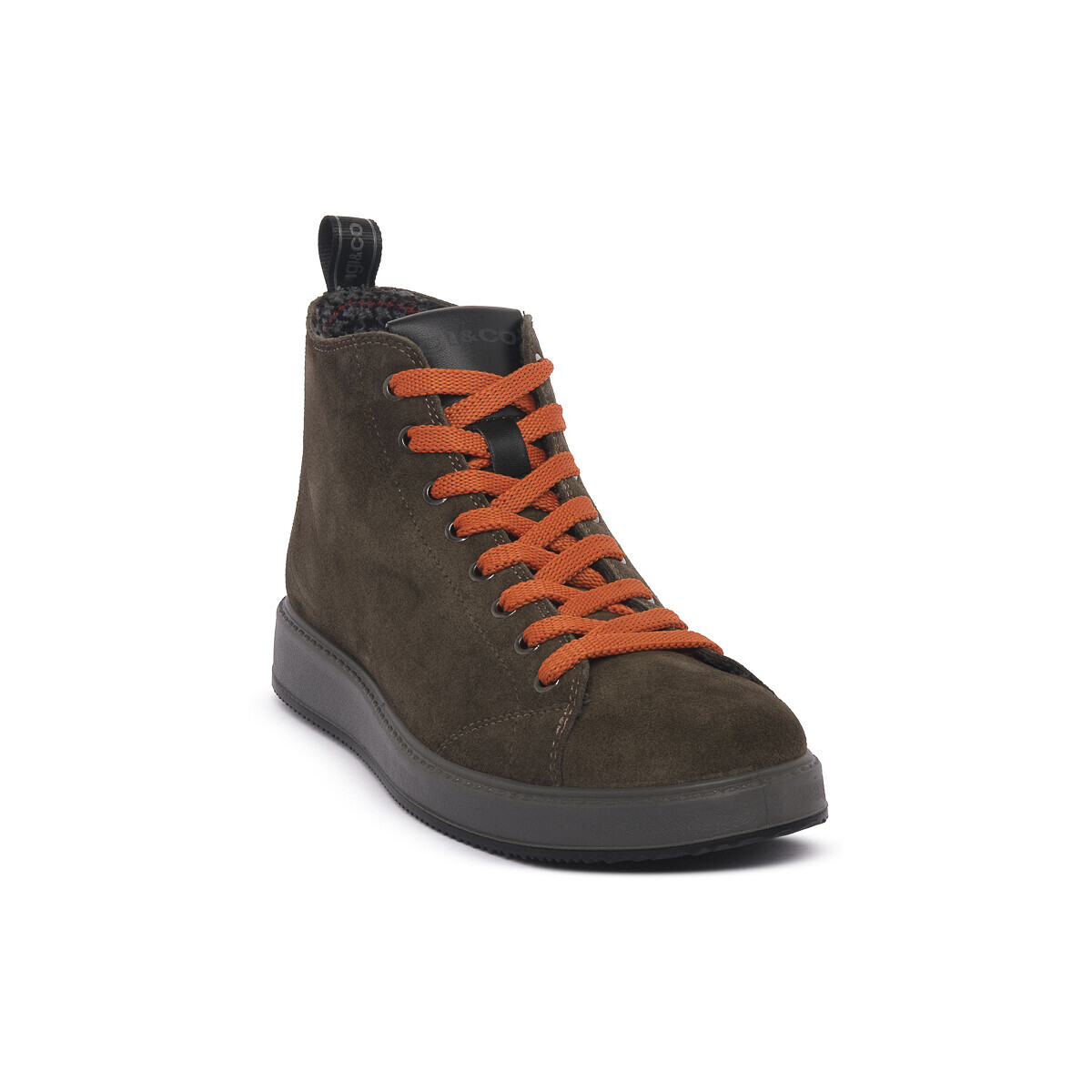 IgI&CO  SANTIAGO BOSCO  Zelená