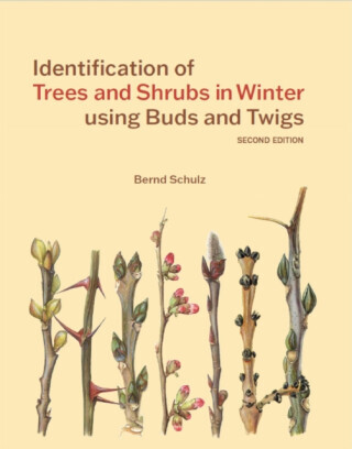 Identification of Trees and Shrubs in Winter using Buds and Twigs - Bernd Schulz
