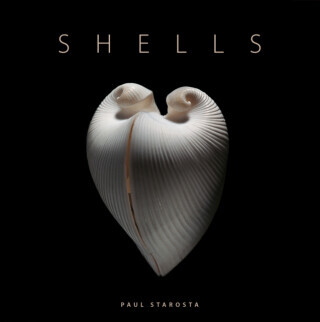 Shells - Paolo Portoghesi