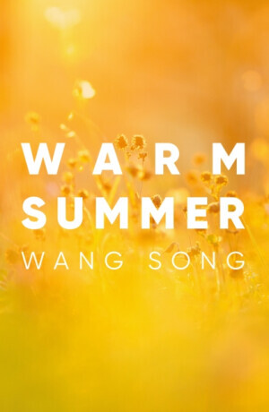 Warm Summer - Wang Song