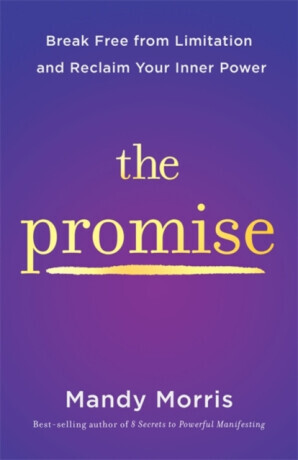 The Promise - Mandy Morris