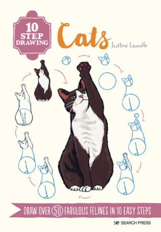 10 Step Drawing: Cats - Justine Lecouffe