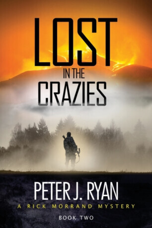 Lost in the Crazies - Peter J Ryan