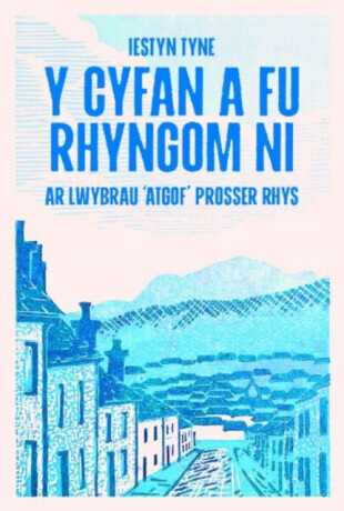 Y Cyfan a fu Rhyngom Ni - ar lwybrau 'Atgof' Prosser Rhys - Iestyn Tyne