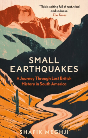 Small Earthquakes - Meghji Shafik