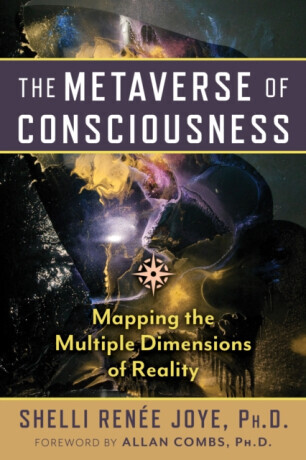 The Metaverse of Consciousness - Shelli Renee Joye